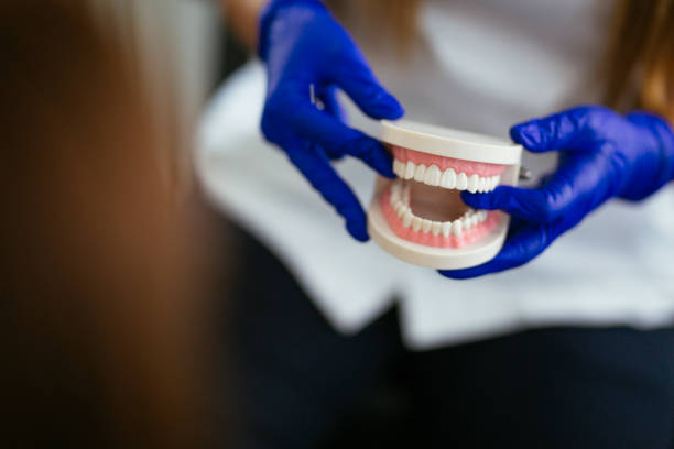 Best Traditional Braces  in Mount Sinai, NY